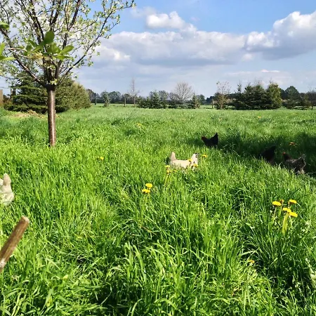 Landhof Liebsch, Mit Pool Und Sauna Guest house 3*