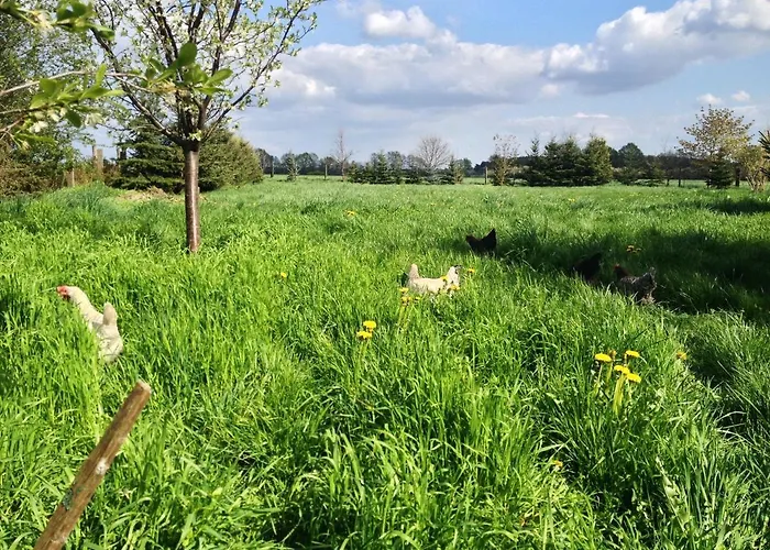 Landhof Liebsch, Mit Pool Und Sauna Vendégház 3*