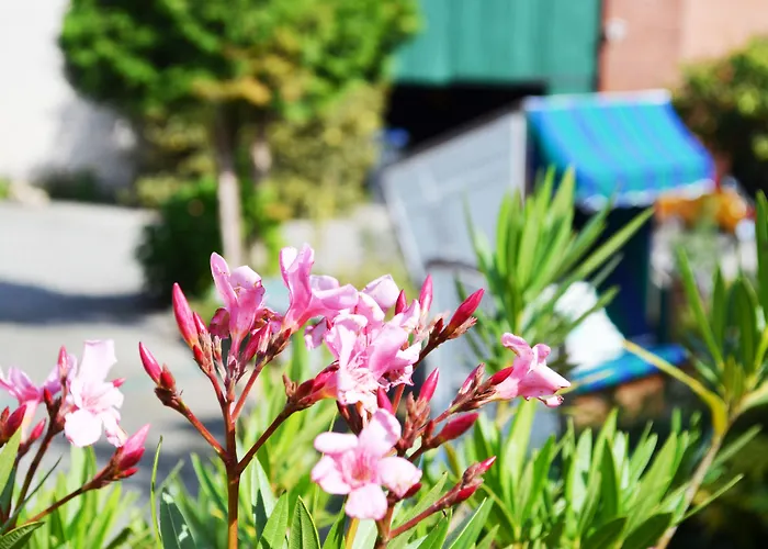 Landhof Liebsch, Mit Pool Und Sauna Vendégház 3*