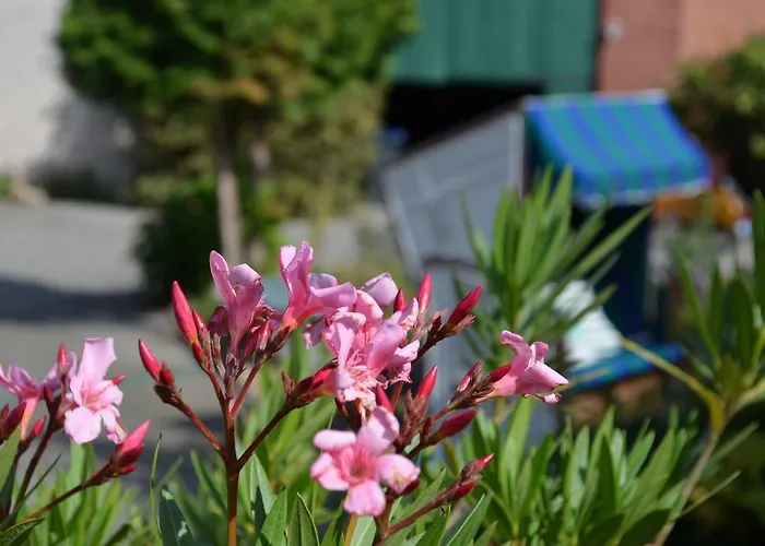 Vendégház Landhof Liebsch, Mit Pool Und Sauna